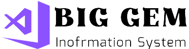 BigGem Logo